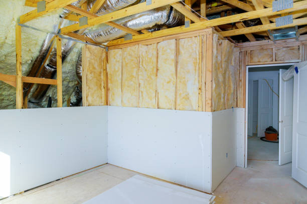 Best Insulation for New Construction  in Gorevle, IL