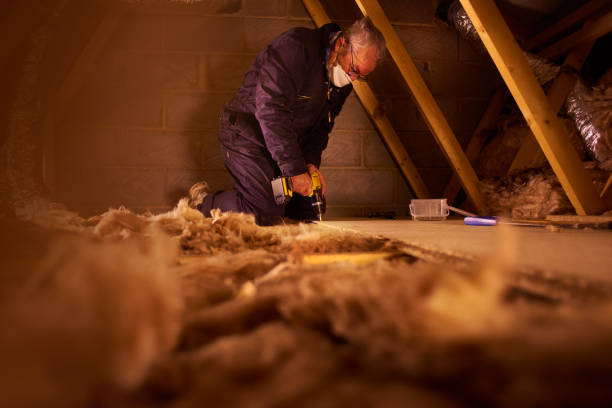 Best Batt and Roll Insulation  in Gorevle, IL